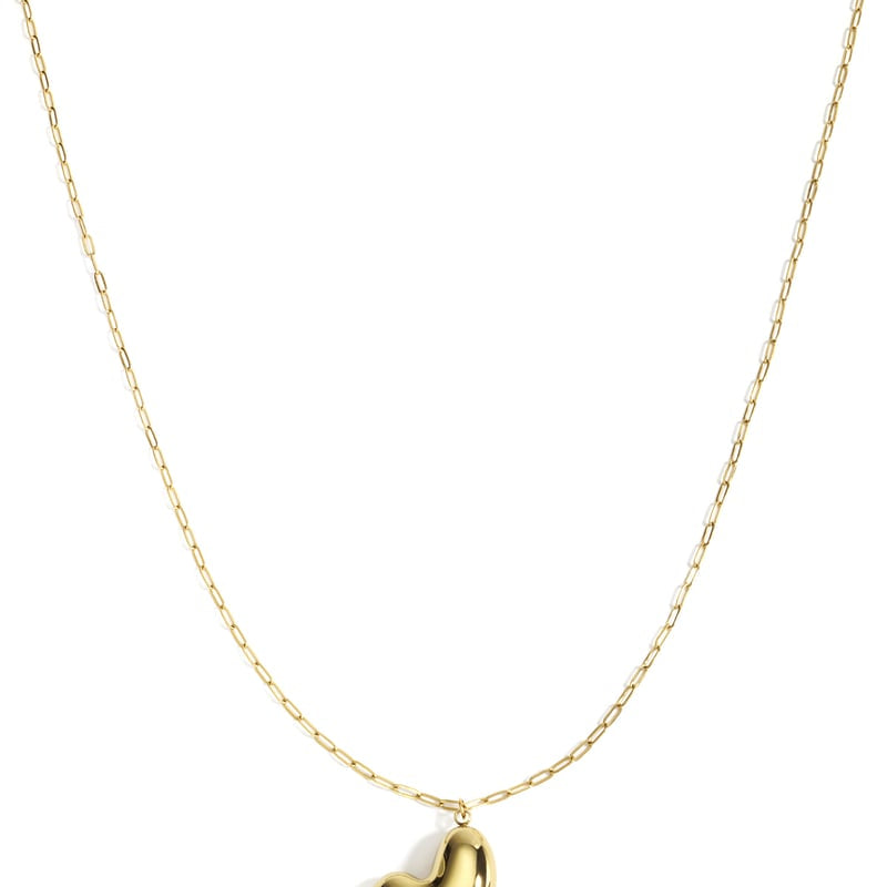 Stainless Steel Long Necklaces Heart Casual Daily Simple Series Women's jewelry