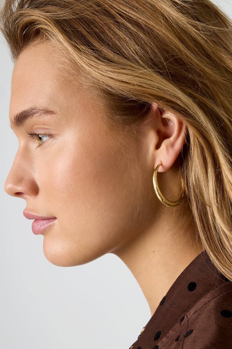 Hoop Earrings circle Casual Daily Simple Series Women's jewelry