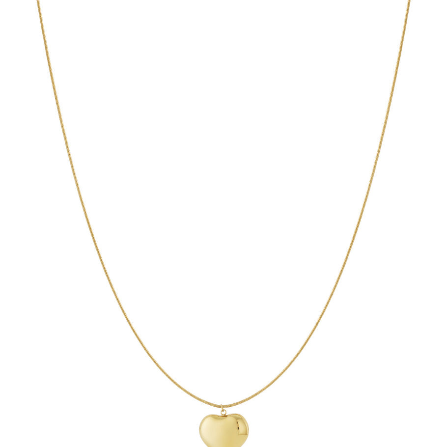 Pregnancy necklace heart