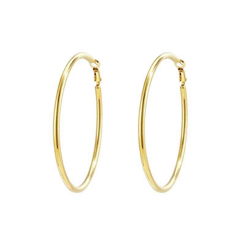 Stainless Steel Hoop Earrings Geometric Casual Daily Simple Series Women's jewelry